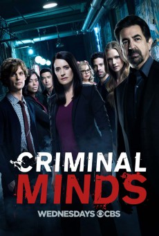 Criminal Minds Season 13 อ่านเกมอาชญากร ปี 13 - ดูหนังออนไลน